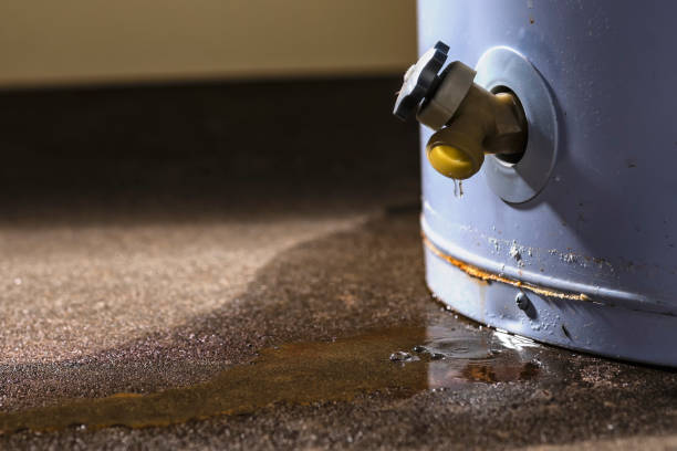 Best Basement water damage restoration  in Teague, TX