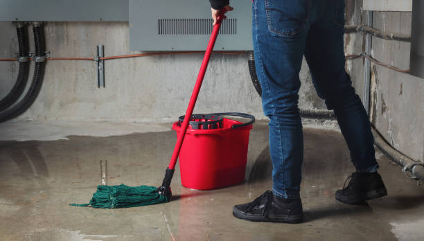 Best Water damage restoration near me  in Teague, TX