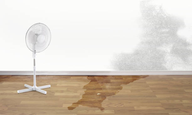 Best Flood damage cleanup  in Teague, TX