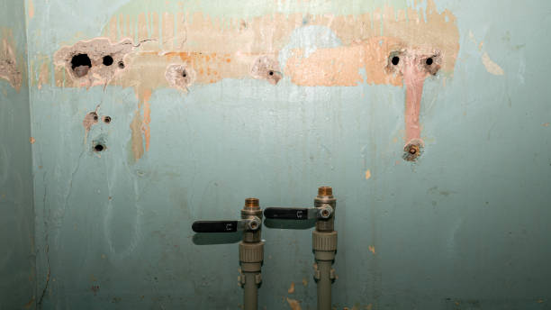 Best Commercial water damage restoration  in Teague, TX
